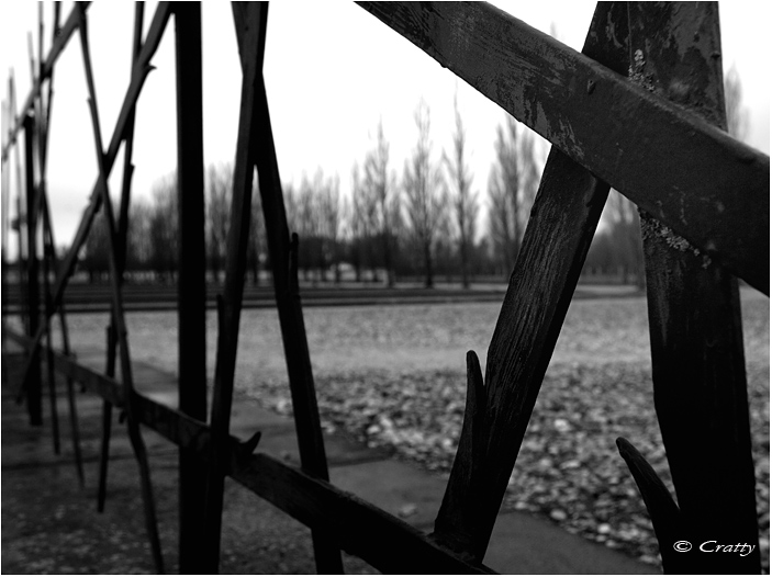 Copyright Stefano Maselli